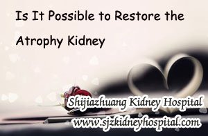 Is It Possible to Restore the Atrophy Kidney