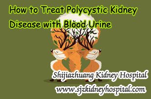 How to Treat Polycystic Kidney Disease with Blood Urine