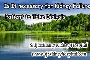 Is It necessary for Kidney Failure Patient to Take Dialysis