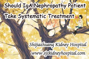 Should IgA Nephropathy Patient Take Systematic Treatment
