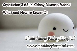 Creatinine 3.62 in Kidney Disease Means What and How to Lower It