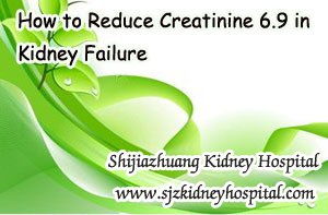 Kidney Failure Treatment,Creatinine 6.9,Kidney Failure