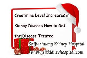 Creatinine Level Increases in Kidney Disease How to Get the Disease Treated