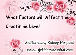 What Factors will Affect the Creatinine Level