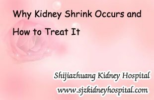 Why Kidney Shrink Occurs and How to Treat It