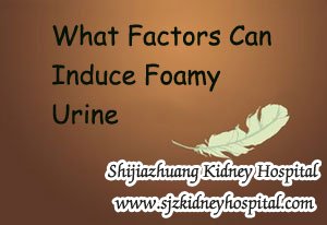 What Factors Can Induce Foamy Urine