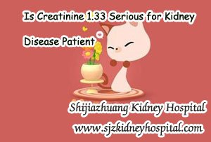 Is Creatinine 1.33 Serious for Kidney Disease Patient