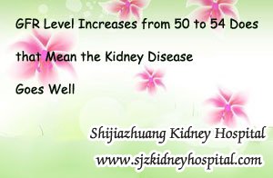 GFR Level Increases from 50 to 54 Does that Mean the Kidney Disease Goes Well