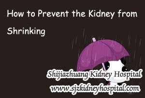 How to Prevent the Kidney from Shrinking