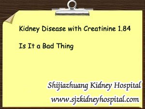 Kidney Disease with Creatinine 1.84 Is It a Bad Thing