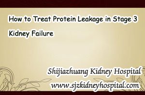 Kidney Failure Treatment,Stage 3 Kidney Failure,Protein Leakage