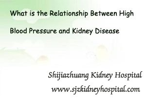 What is the Relationship Between High Blood Pressure and Kidney Disease