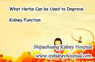 What Herbs Can be Used to Improve Kidney Function