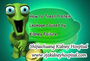 How to Treat Protein Leakage Caused by Kidney Failure