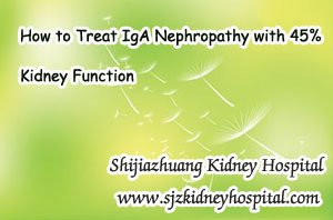 How to Treat IgA Nephropathy with 45% Kidney Function