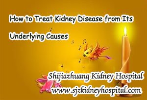 How to Treat Kidney Disease from Its Underlying Causes
