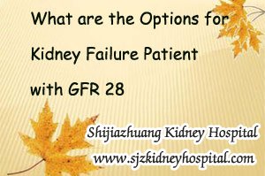 What are the Options for Kidney Failure Patient with GFR 28
