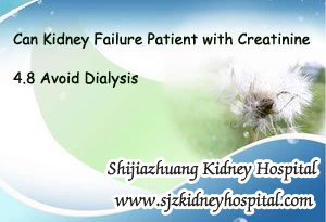 Can Kidney Failure Patient with Creatinine 4.8 Avoid Dialysis
