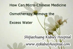 How Can Micro-Chinese Medicine Osmotherapy Remove the Excess Water