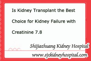 Is Kidney Transplant the Best Choice for Kidney Failure with Creatinine 7.8
