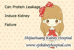 Can Protein Leakage Induce Kidney Failure