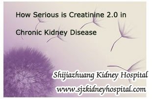 How Serious is Creatinine 2.0 in Chronic Kidney Disease