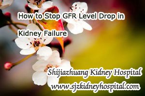 How to Stop GFR Level Drop in Kidney Failure