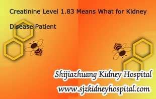 Creatinine Level 1.83 Means What for Kidney Disease Patient
