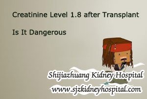 Creatinine Level 1.8 after Transplant Is It Dangerous