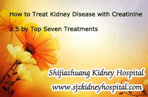 How to Treat Kidney Disease with Creatinine 2.5 by Top Seven Treatments