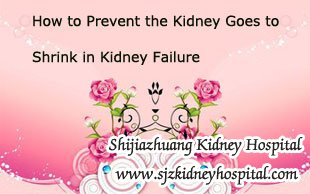 How to Prevent the Kidney Goes to Shrink in Kidney Failure