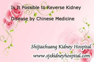 Is It Possible to Reverse Kidney Disease by Chinese Medicine