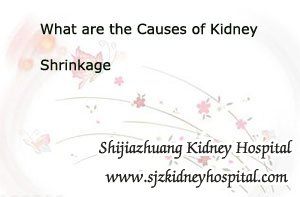 What are the Causes of Kidney Shrinkage