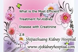 What is the Most Efficient Treatment for Kidney Disease with Creatinine 2.8