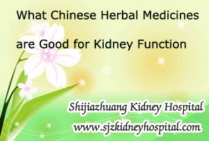 What Chinese Herbal Medicines are Good for Kidney Function