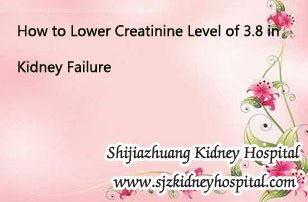 How to Lower Creatinine Level of 3.8 in Kidney Failure