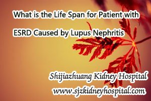 What is the Life Span for Patient with ESRD Caused by Lupus Nephritis
