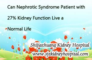 Can Nephrotic Syndrome Patient with 27% Kidney Function Live a Normal Life