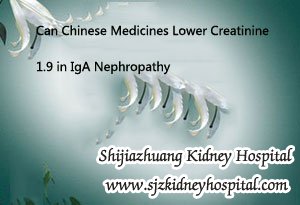 Can Chinese Medicines Lower Creatinine 1.9 in IgA Nephropathy