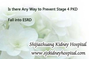 Is there Any Way to Prevent Stage 4 PKD Fall into ESRD