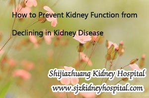 How to Prevent Kidney Function from Declining in Kidney Disease