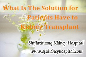 What Is The Solution for Patients Have to Kidney Transplant