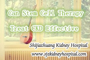 Can Stem Cell Therapy Treat CKD Effective