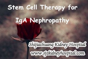 Why Stem Cell Therapy Becomes More and More Popular for Patients with IgA Nephropathy