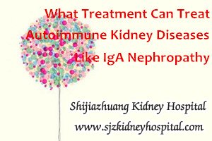What Treatment Can Treat Autoimmune Kidney Diseases Like IgA Nephropathy