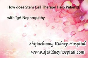 How does Stem Cell Therapy Help Patients with IgA Nephropathy