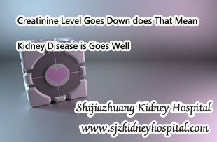 Creatinine Level Goes Down does That Mean Kidney Disease is Goes Well