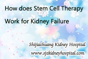 How does Stem Cell Therapy Work for Kidney Failure