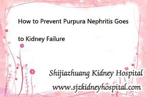 How to Prevent Purpura Nephritis Goes to Kidney Failure