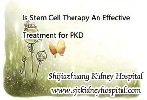 Is Stem Cell Therapy An Effective Treatment for PKD